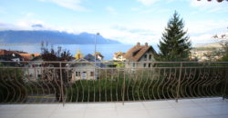 Charmant 2 pièces vue lac avec jardin et balcon