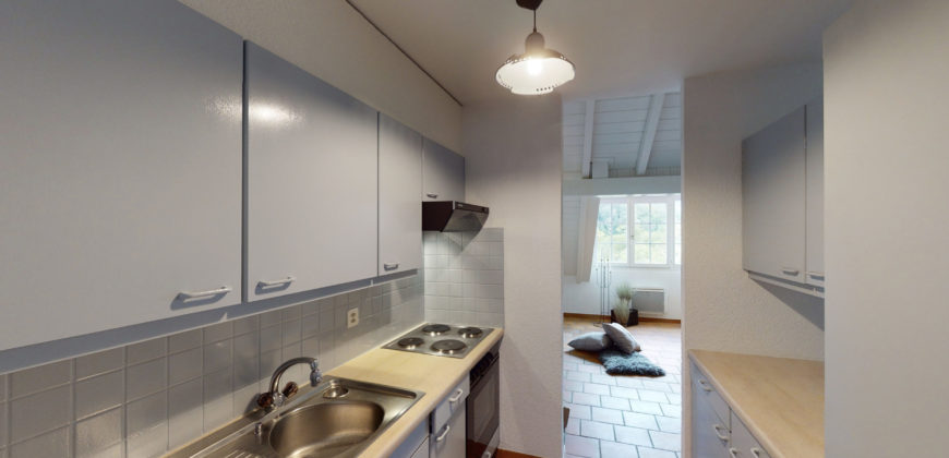 Charmant 3.5pcs avec cheminée et vue paisible verdoyante