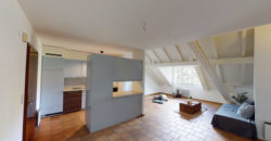 Charmant 3.5pcs avec cheminée et vue paisible verdoyante