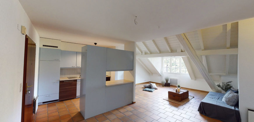 Charmant 3.5pcs avec cheminée et vue paisible verdoyante