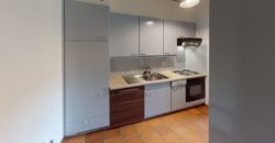 Charmant 3.5pcs avec cheminée et vue paisible verdoyante