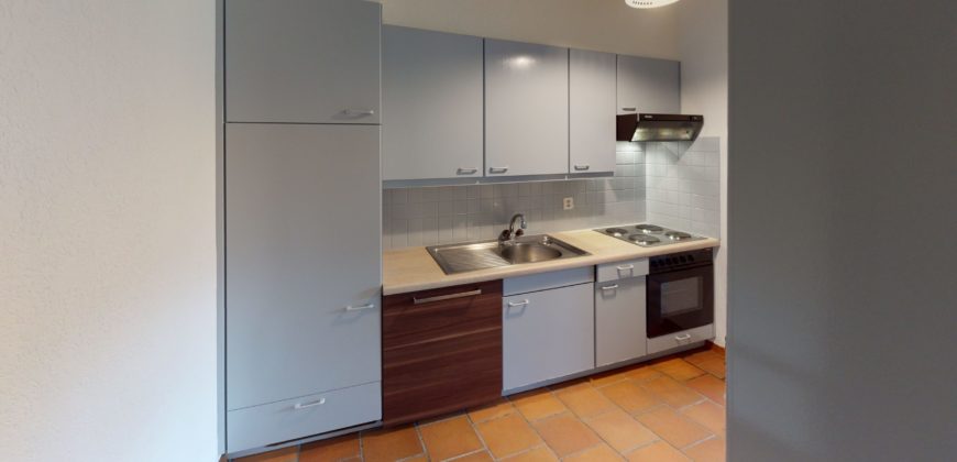 Charmant 3.5pcs avec cheminée et vue paisible verdoyante