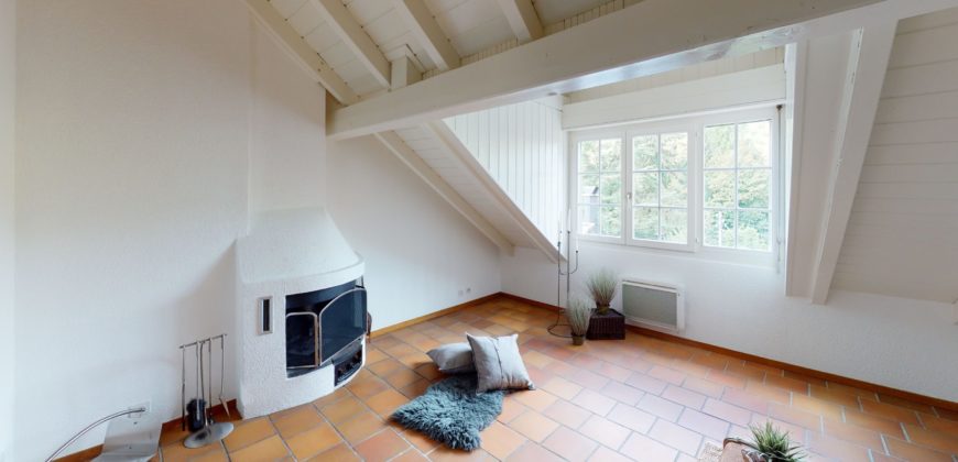 Charmant 3.5pcs avec cheminée et vue paisible verdoyante