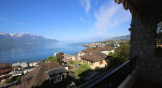Charmant appartement de 3.5 pièces avec joli jardin et vue imprenable sur le lac