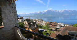 Charmant 3pcs avec jardin privatif et vue exceptionnelle sur le lac Leman