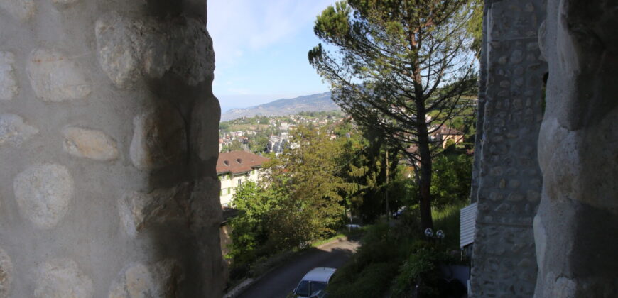 Charmant 3pcs avec jardin privatif et vue exceptionnelle sur le lac Leman